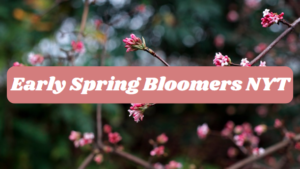 Early Spring Bloomers NYT