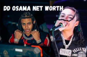 DD Osama Net Worth